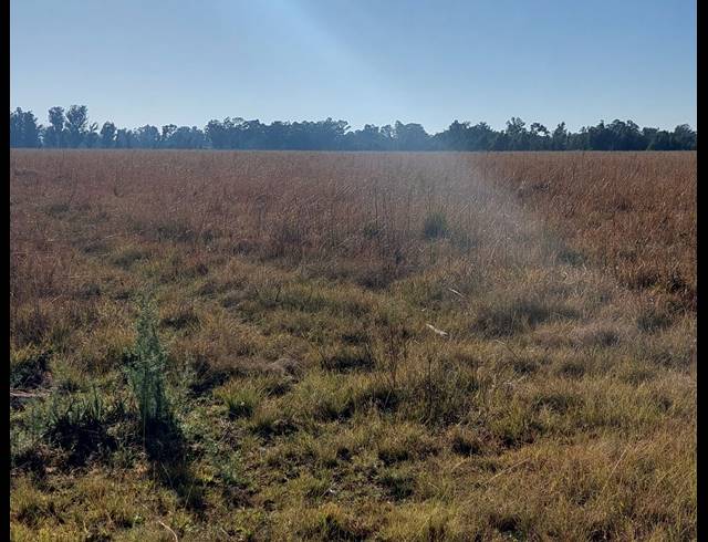 13,397M² VACANT LAND FOR SALE IN DE DEUR